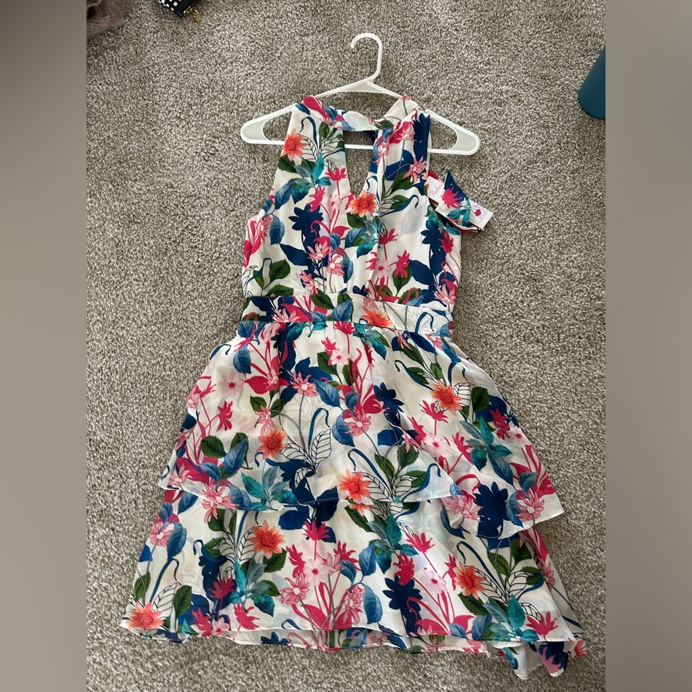 Parker ruffle dress size 4